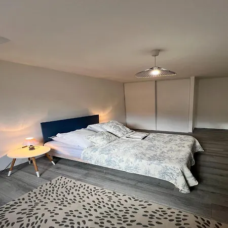Apartment In Sedan Near Chateau Fort *